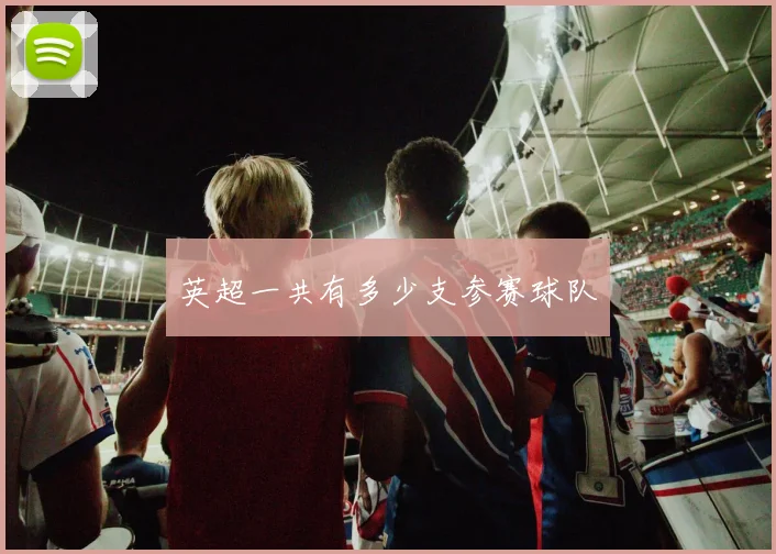 英超一共有多少支参赛球队