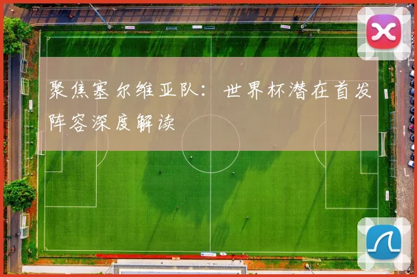 聚焦塞尔维亚队：世界杯潜在首发阵容深度解读