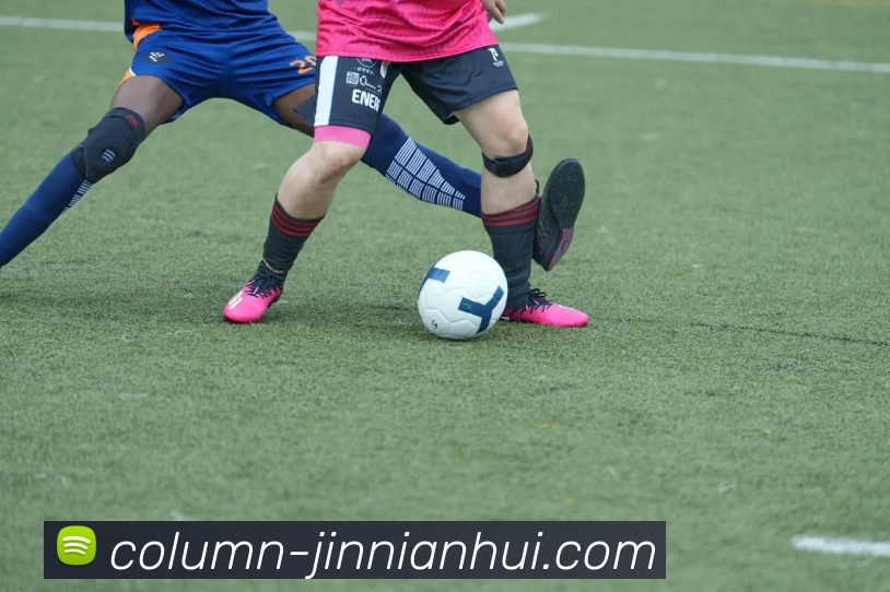 金年会平台生态图